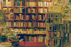 fotolib2.bmp (41750 bytes)